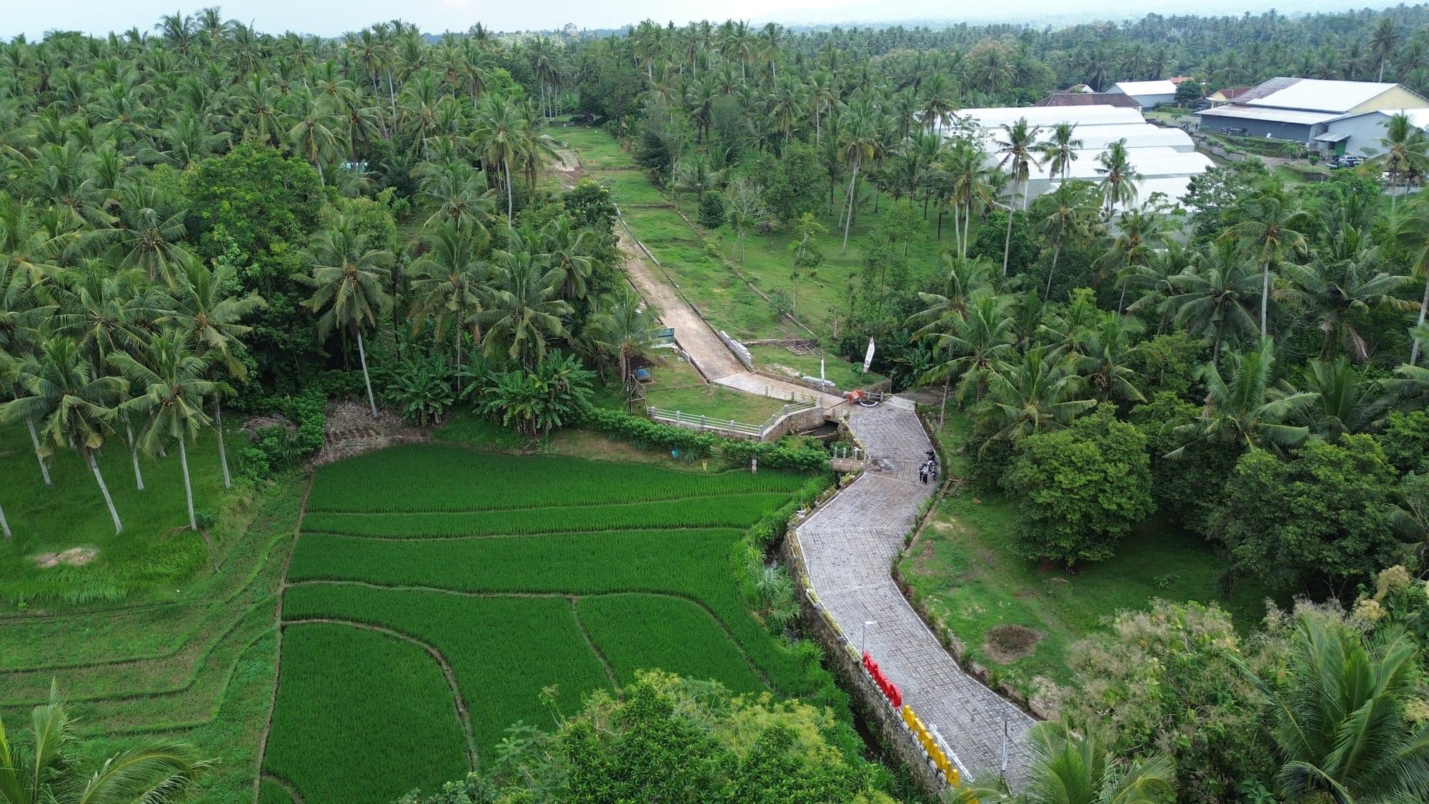 Amartya Villa Campuhan Ubud — foto 3