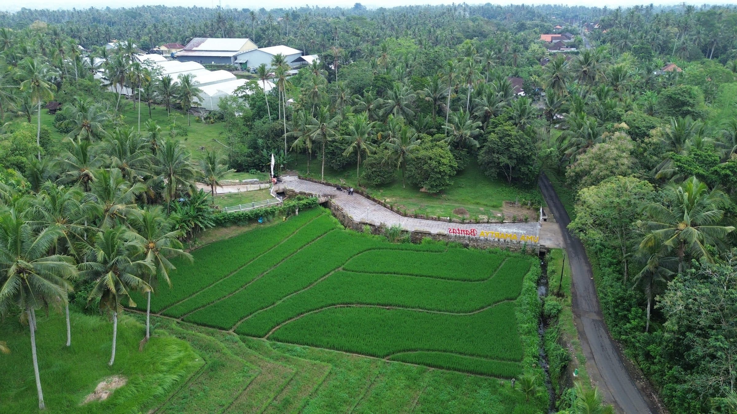 Uma Amartya Bantas — foto 2